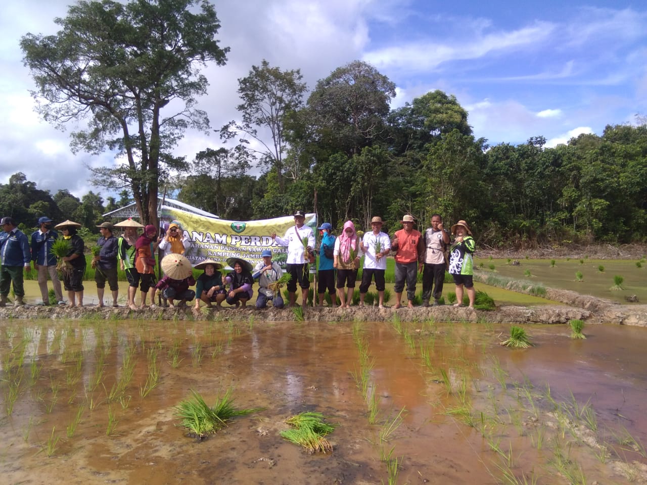 Kampung Jambuk Gelar Tanam Padi Perdana, Gunakan DD Untuk Tingkatkan Ketahanan Pangan dan Ekonomi.